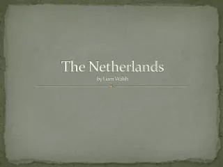 The Netherlands by Liam Walsh