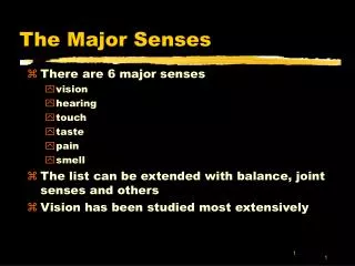 The Major Senses