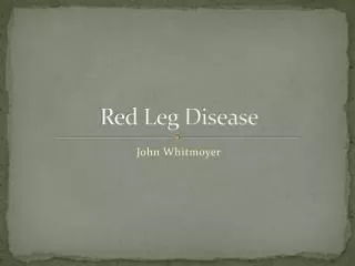 Red Leg Disease