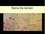 Name the domain - slide 1