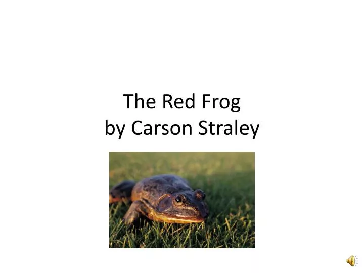 the red frog by carson straley