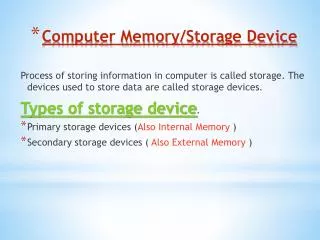 Computer Memory/Storage Device