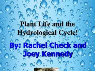 Plant Life and the Hydrological Cycle!