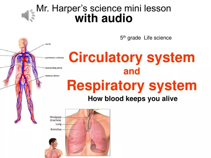 circulatory system and respiratory system