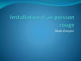 installation d un poisson rouge