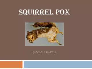 Squirrel Pox