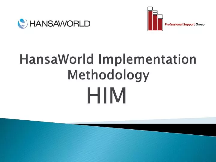 hansaworld implementation methodology