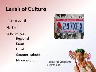 Levels of Culture