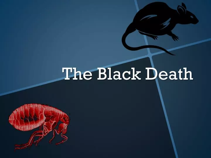 the black death