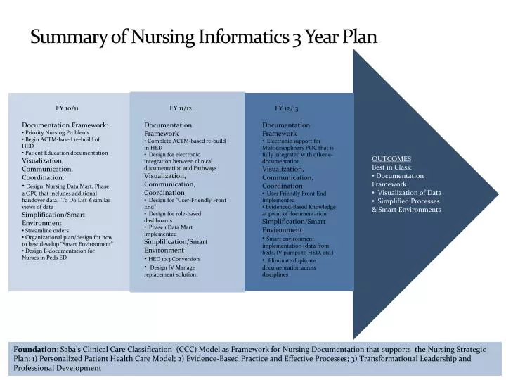 summary of nursing informatics 3 year plan
