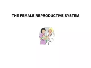 THE FEMALE REPRODUCTIVE SYSTEM