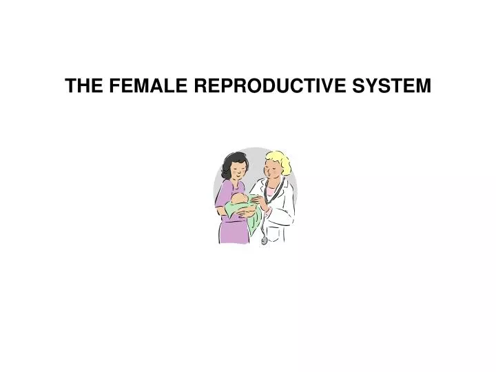 the female reproductive system