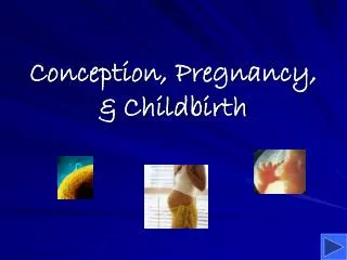 Conception, Pregnancy, &amp; Childbirth