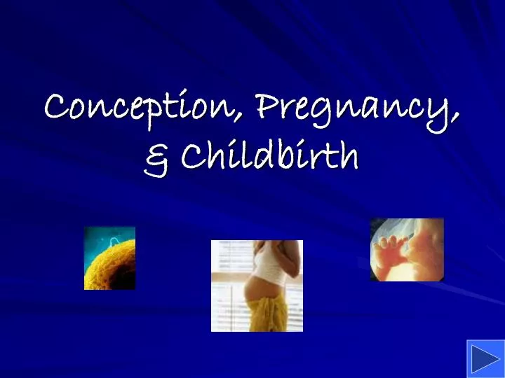 conception pregnancy childbirth