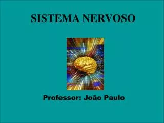 sistema nervoso