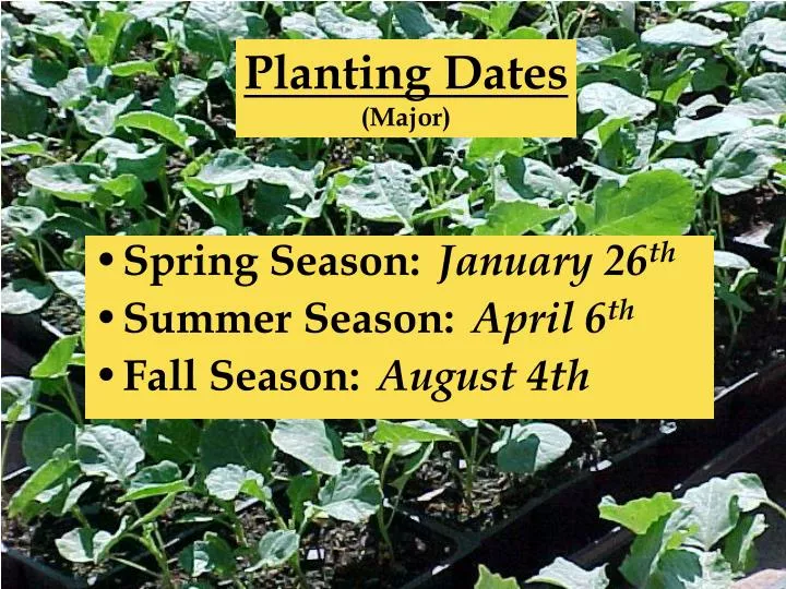 planting dates major