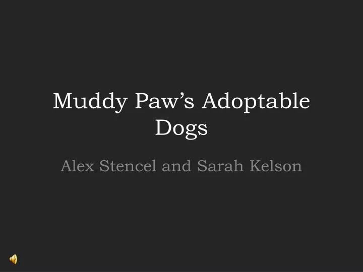 muddy paw s adoptable dogs