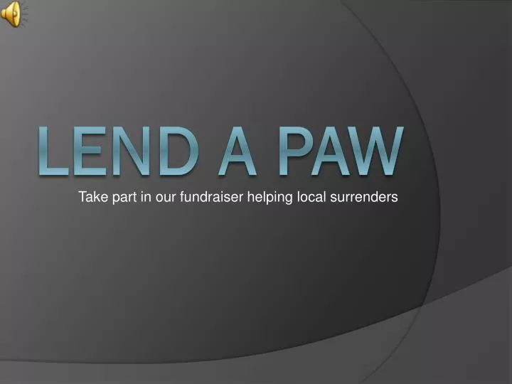 take part in our fundraiser helping local surrenders