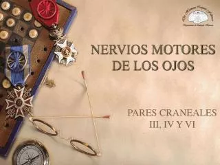nervios motores de los ojos