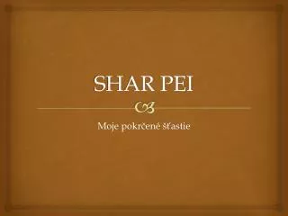 shar pei