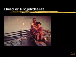 hvad er projektparat