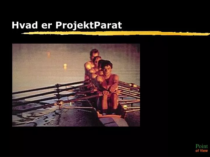 hvad er projektparat