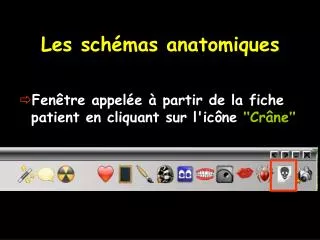 les sch mas anatomiques