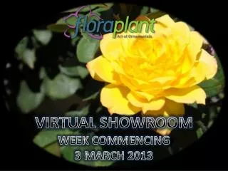 VIRTUAL SHOWROOM WEEK COMMENCING 3 MARCH 2013