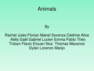 animals