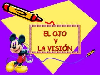 el ojo y la visi n