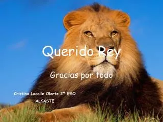 querido rey