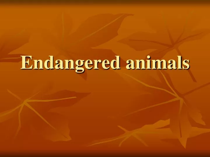 endangered animals