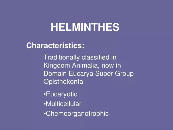 helminthes