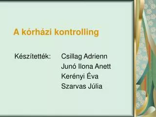 a k rh zi kontrolling