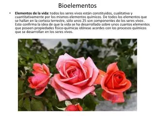 bioelementos