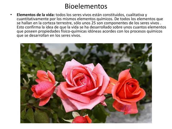 bioelementos