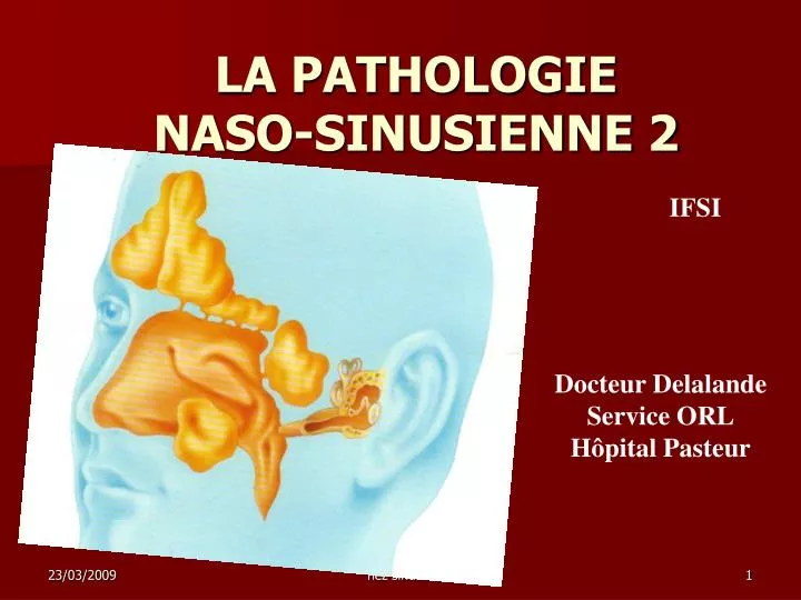la pathologie naso sinusienne 2