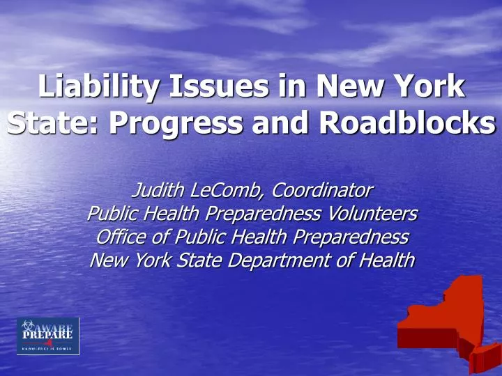 liability issues in new york state progress and roadblocks