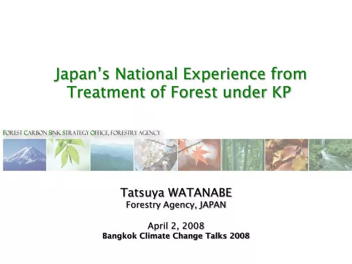 japan s national experience from treatment of forest under kp