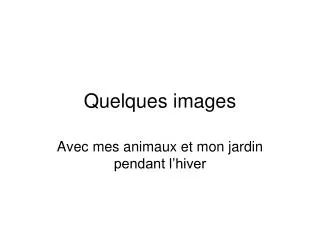 quelques images