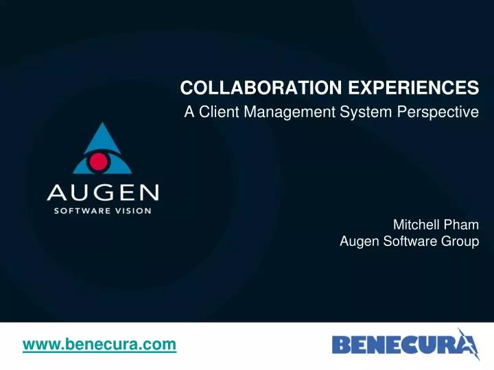 collaboration experiences a client management system perspective mitchell pham augen software group