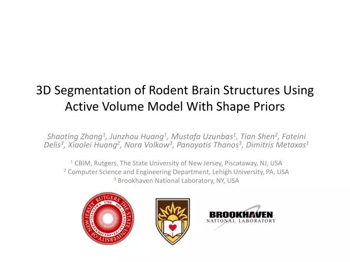 3d segmentation of rodent brain structures using active volume model with shape priors