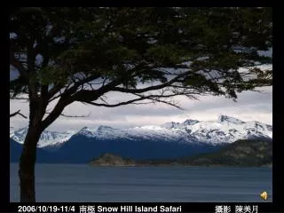 2006/10/19-11/4 南極 Snow Hill Island Safari 攝影 陳美月