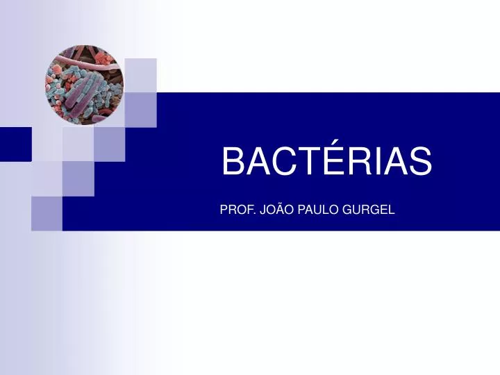 Portal del Profesor - O mundo microscópico das Bactérias