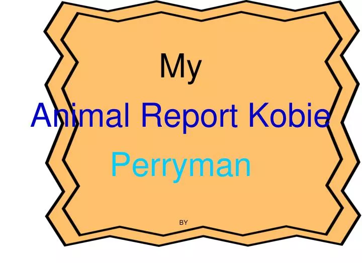 my animal report kobie perryman