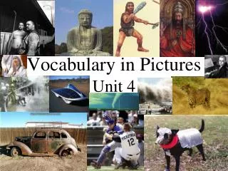 Vocabulary in Pictures