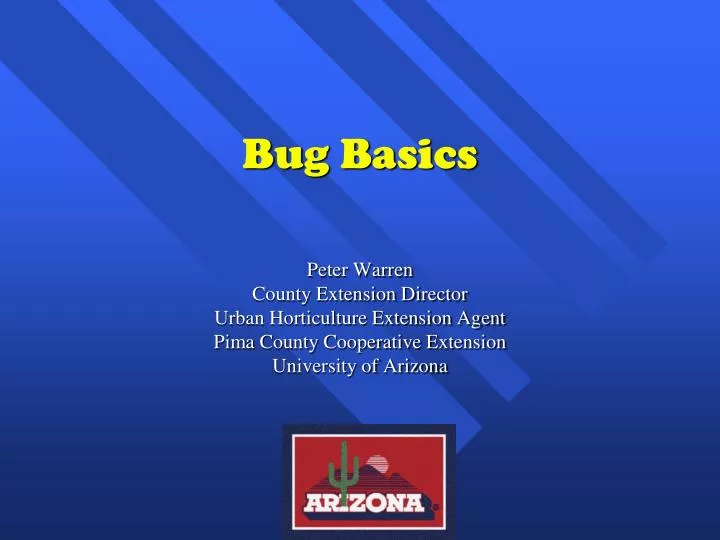 bug basics