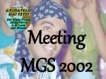 Meeting MGS 2002 - slide 1