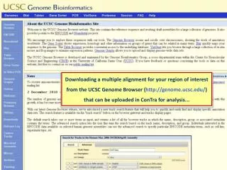 Go to the genome browser...