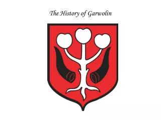 The History of Garwolin